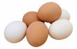 Farm fresh chicken table eggs _ fertile hatching eggs 